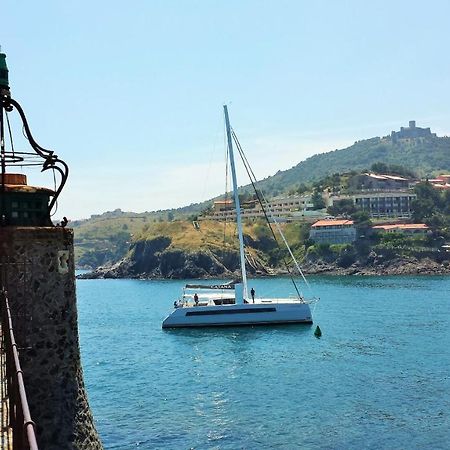 4Sap7 Appartement Avec Belle Terrasse Collioure Bilik gambar
